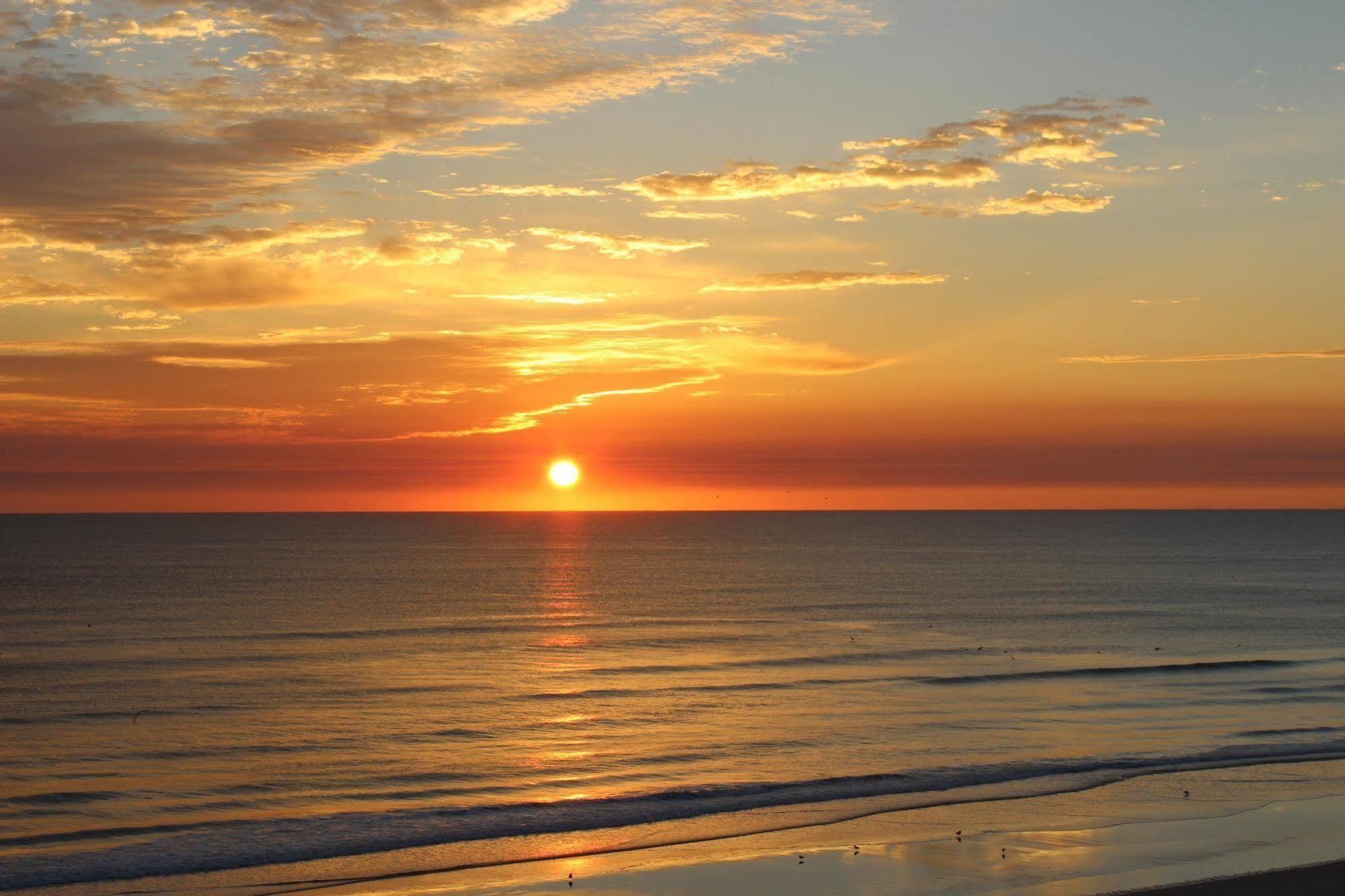 Sea Club IV Resort Daytona Beach Shores Εξωτερικό φωτογραφία